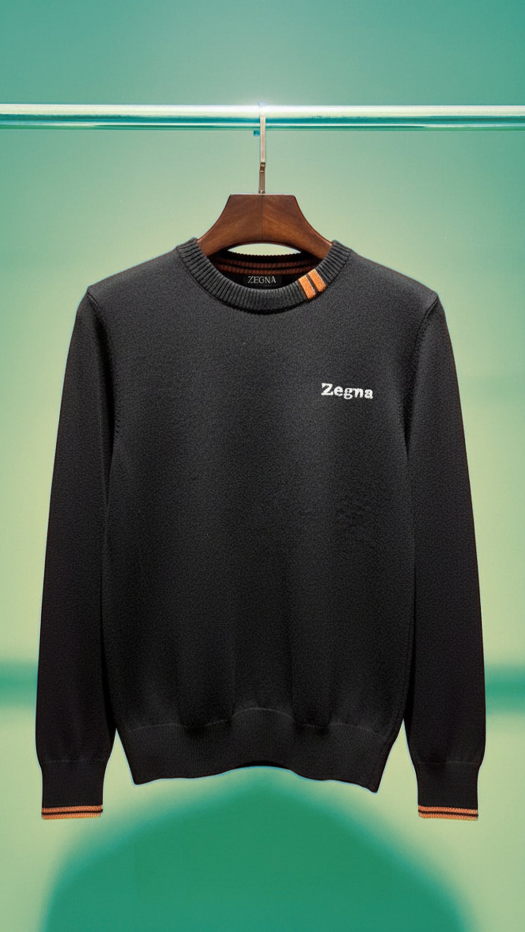 Zegna Erkek Siyah İnce Triko Kazak